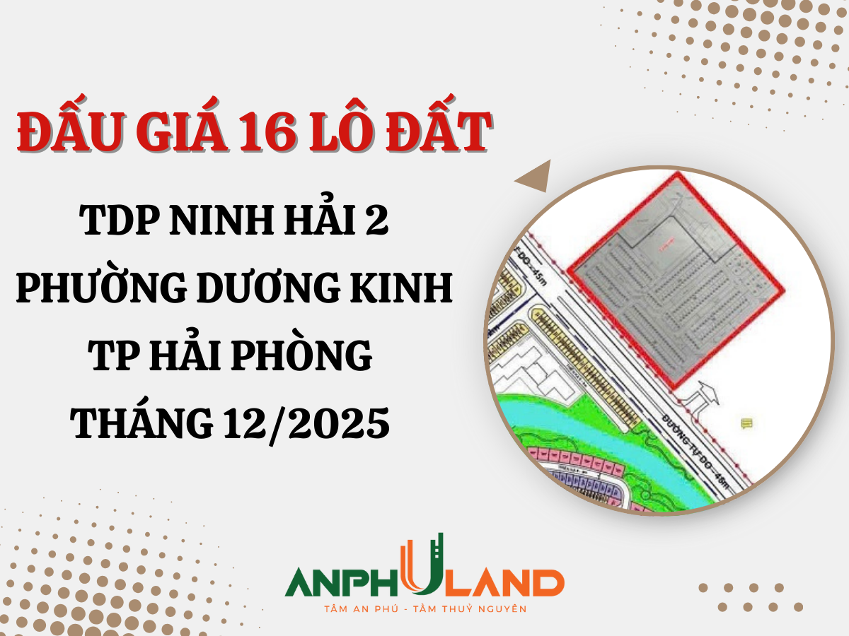 Thông báo đấu giá 16 lô đất tại TDP Ninh Hải 2, phường Dương Kinh, TP Hải Phòng tháng 12 năm 2025